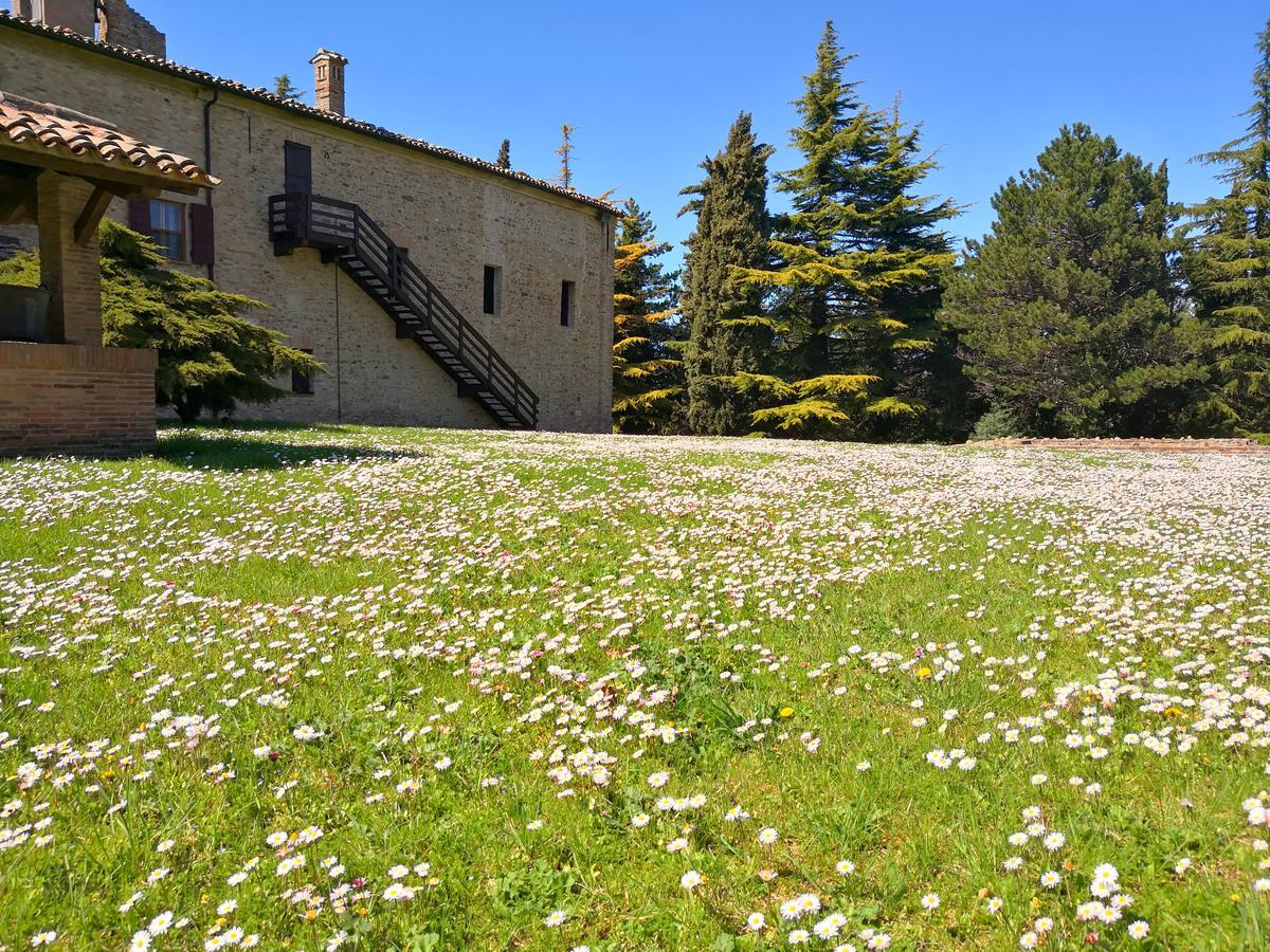 Convento Di San Francesco Mondaino Bed & Breakfast Exterior photo